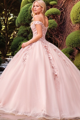 Off-Shoulder Ball Gown with 3D Floral Appliques & Beaded Lace-Up Detail Pink Tulle Quinceanera Dress for Sweet 16 & Birthday Celebrations